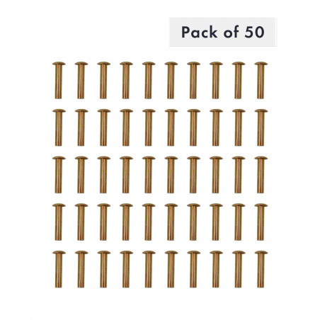 RIVET SEMI-TUBULAIRE 1/4" X 1-1/4", TATE OVALE, ACIER DOUX - PAQUET DE 50