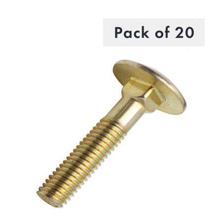 CUVE BOULON CARRE M6X30, PAQUET DE 20