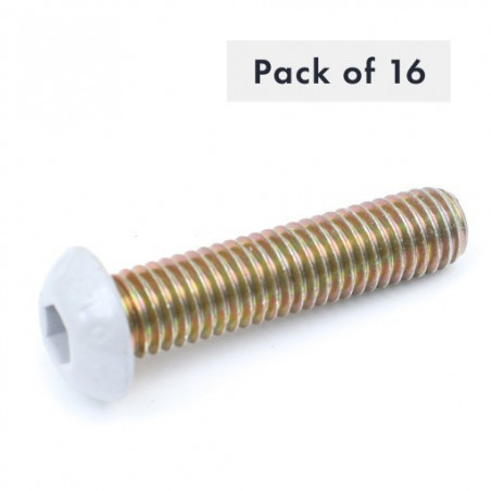 VIS A TROU M8X35, 10.9, TETE BOUTON, ARGENT, LOT DE 16