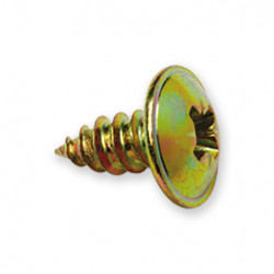 VIS AUTOTARAUDEUSE N°8 X 3/8", POZIDRIV, TETE BRIDE, FILETAGE AB, LOT DE 100