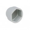 CACHE-ECROU HEXAGONAL M10, FORME EXTERIEURE CIRCULAIRE, DOME TOP, LDPE GRIS CLAIR