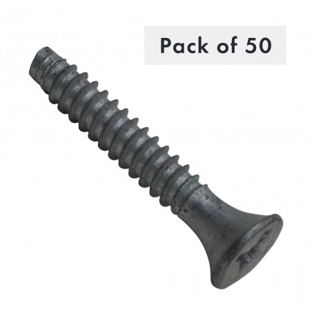 VIS AUTOTARAUDEUSE N° 14 X 1-1/2", POZIDRIV, TATE BUGLE, FILETAGE B, CEMENTEE, PAQUET DE 50