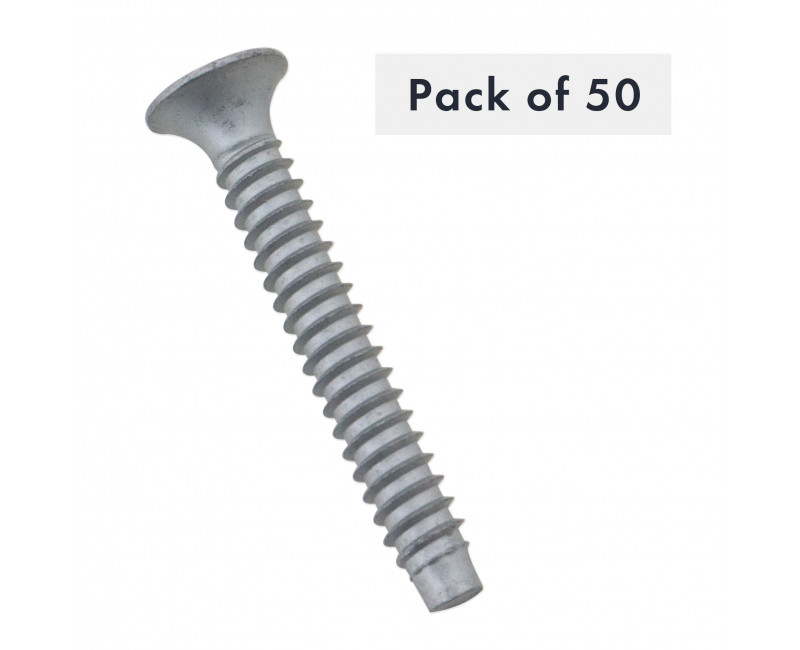 VIS AUTOTARAUDEUSE N° 14 X 1-3/4", POZIDRIV, TATE BUGLE, FILETAGE B, CEMENTEE, PAQUET DE 50