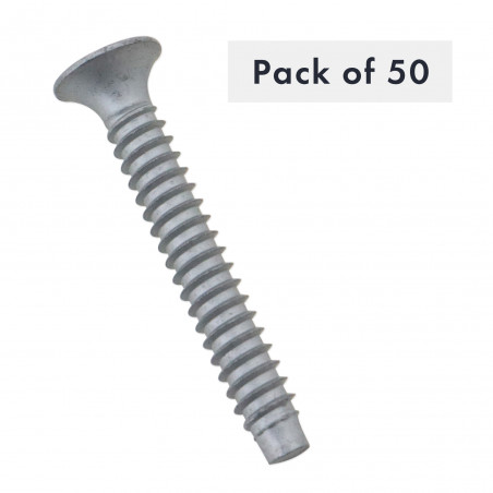 VIS AUTOTARAUDEUSE N° 14 X 1-3/4", POZIDRIV, TATE BUGLE, FILETAGE B, CEMENTEE, PAQUET DE 50