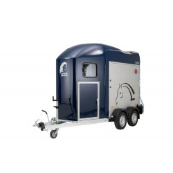 VAN GOLD ONE ORIGINS