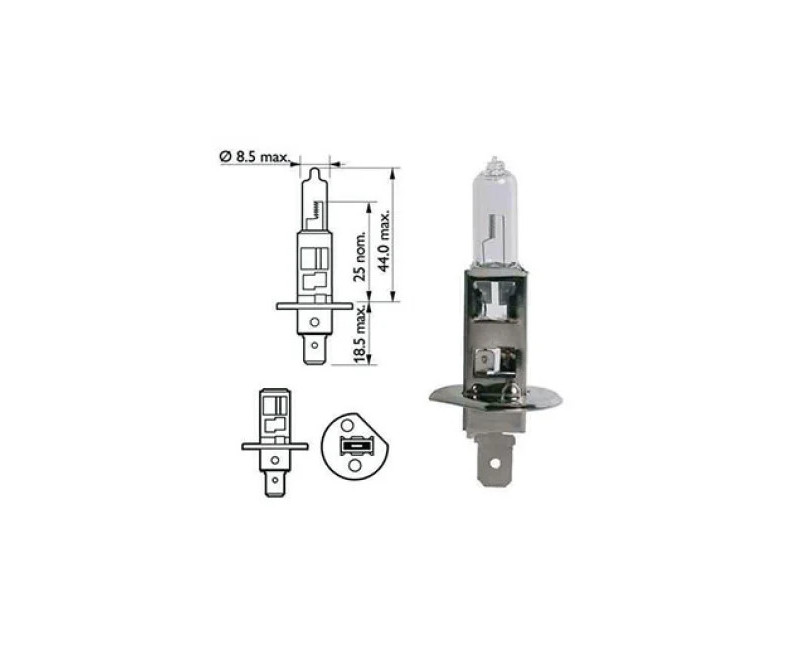 AMPOULE H1 P145S 12V
