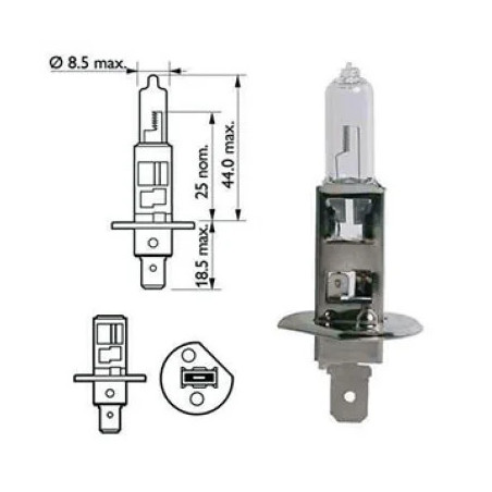 AMPOULE H1 P145S 12V