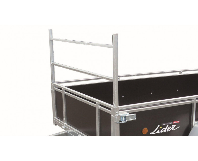 PORTE-ÉCHELLE (39440, 39450, 39460, 43440, 43450, 45450, 43460, 45460, 45440)