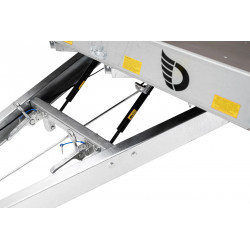 ROADSTER PLATFORM FREINÉE