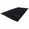 TAPIS DE RAMPE ARRIERE EVENTA - BAS