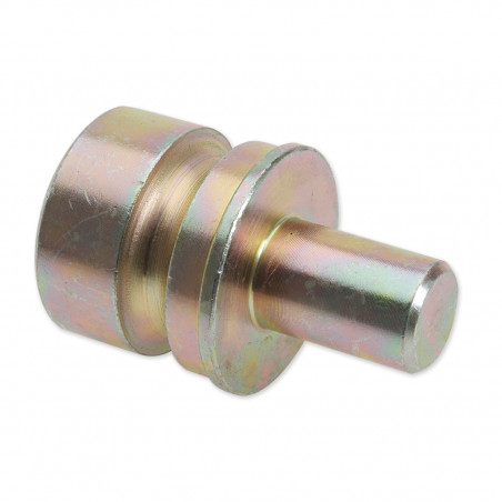 GOUPILLE DE POSITIONNEMENT DE LA PORTE DE LA RAMPE