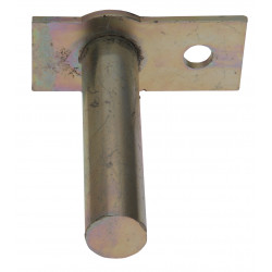 GOUPILLE DE CHARNIERE DE RAMPE AVEC ASSY P8E