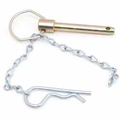 ASSEMBLAGE PIN - CLOISONS JUMBO