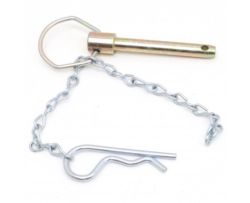 ASSEMBLAGE PIN - CLOISONS JUMBO