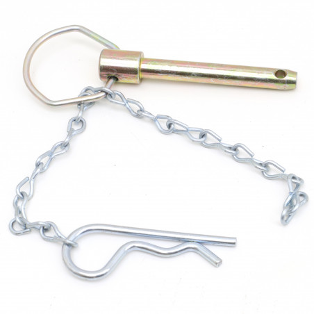 ASSEMBLAGE PIN - CLOISONS JUMBO