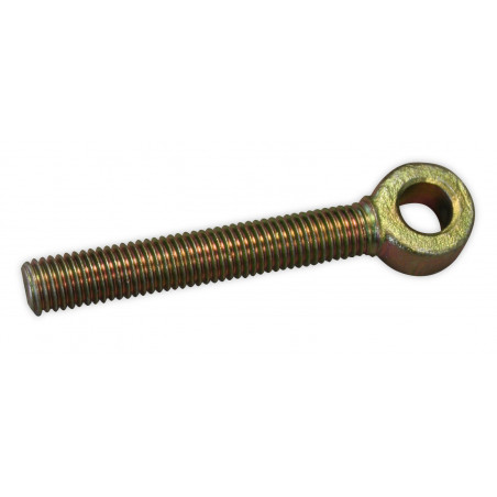 BOULON À ŒIL DE FIXATION DE RAMPE M14 X 100MM
2.15.0.0